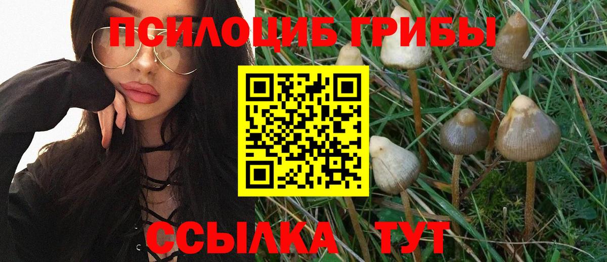Волжский  Псилоцибиновые грибы Magic Shrooms  Вход с VPN 